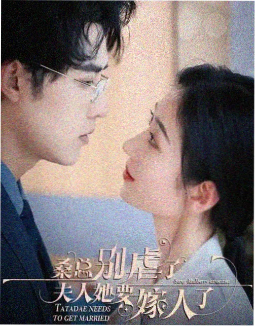 年代情感剧半城烟雨海报
