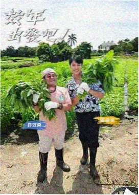 音乐纪实综艺声音的旅行海报